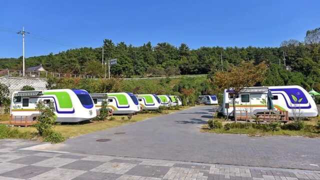 광주 율포오토캠핑장 축제, 여름 바다와 함께하는 캠핑 체험