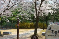 대구 국립대전현충원 보훈둘레길 체험, 역사와 자연 산책