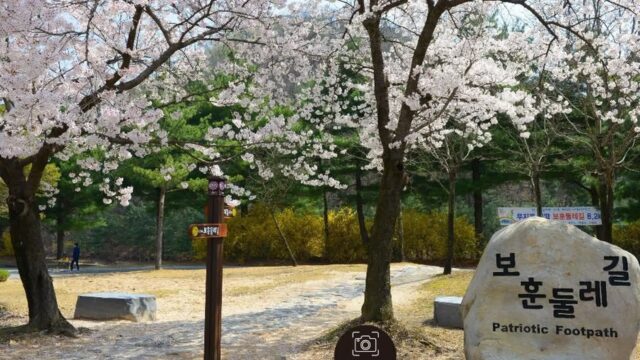 대구 국립대전현충원 보훈둘레길 체험, 역사와 자연 산책