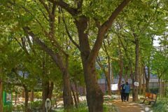 부산 효성공원, 도심 속 자연 산책과 힐링 명소
