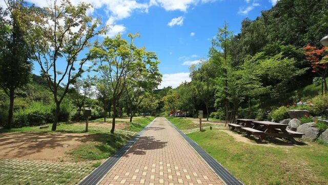 대구 도학야영장 축제, 팔공산 자연 속 특별 캠핑