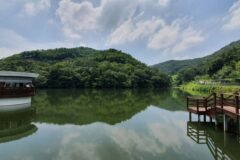 충남 금학생태공원, 여름 물놀이와 자연 탐방 추천