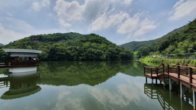 충남 금학생태공원, 여름 물놀이와 자연 탐방 추천