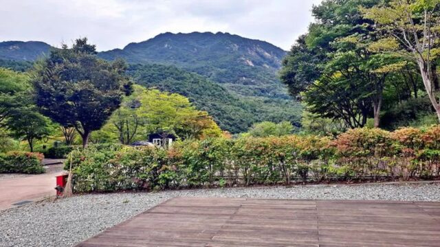 대둔산 수락오토캠핑장 드라이브와 캠핑의 명소