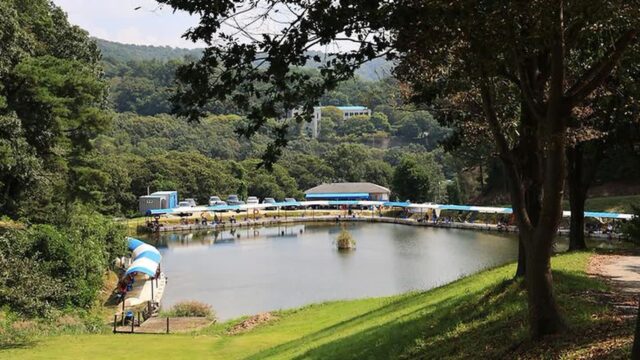 “서울에서 1시간 30분 거리라니, 이런 풍경이?”… 인생샷 명소 캠프여주