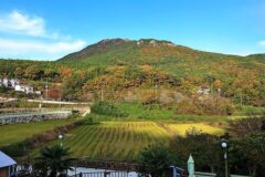 “10,000㎡ 규모라니, 이런 곳이?”… 푸른 바다와 하늘이 펼쳐지는 명소
