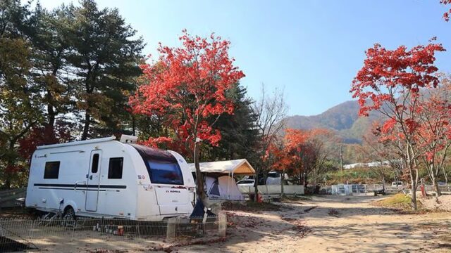 “가을에 딱! 10,000평 자연 속 캠핑장이라니…”… 도심 탈출하는 포천 명소