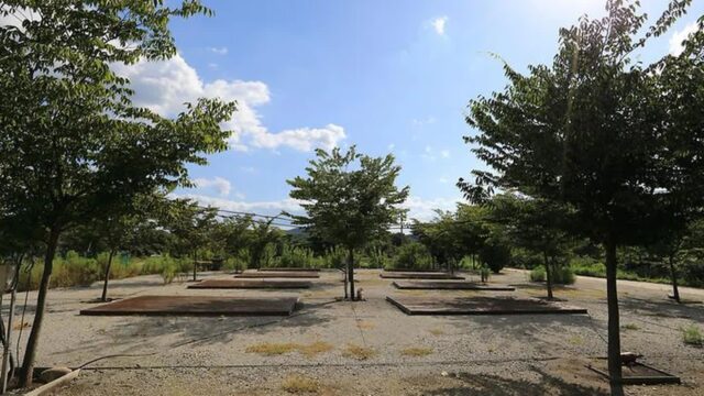 “30,000㎡ 캠핑장이 이렇게 평화롭다니”… 속리산 품은 자연 힐링 여행지