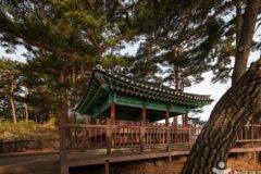 강원 죽도정·죽도 전망대 여름 축제에서 만끽하는 바다뷰
