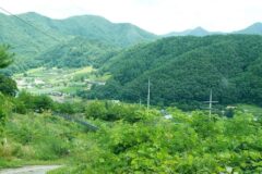 강원 기우산(정선) 여름 축제, 자연 속 물놀이 체험