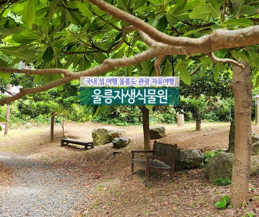 국내 섬 여행 추천 울릉도 관광 자유여행 울릉자생식물원