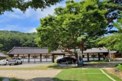 경기 쌍계사(안산), 전통과 자연이 어우러진 힐링 명소