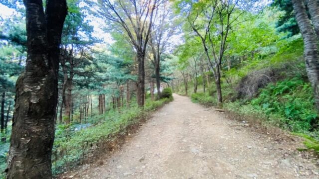 경기 오산 독산성산림욕장 숙소, 도심 속 자연 쉼터 발견