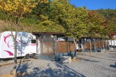 “5,000평 캠핑장이 이렇게 황금빛이라니!”… 자연 속 별빛 천국 명소