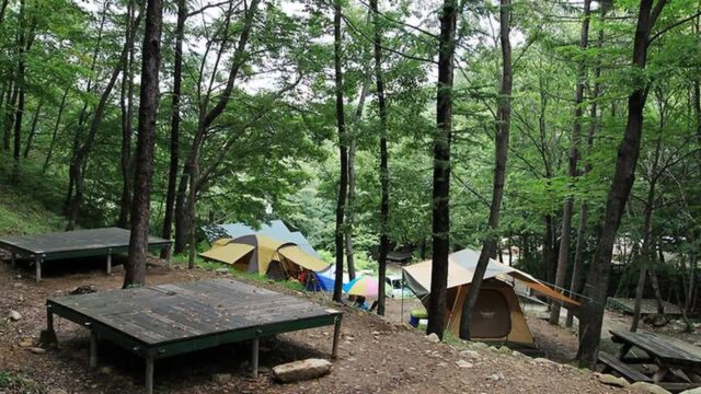전북 와룡자연휴양림 일반야영장 축제, 가족 단위 여름 휴양 추천
