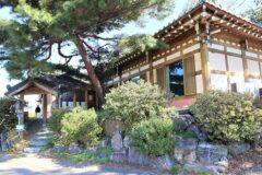 경기 안성 거목산장 맛집, 자연 속 특별한 식사 경험