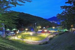 “5만㎡ 캠핑장이 이렇게 푸르다니…” 가족과 즐기는 자연 속 명소