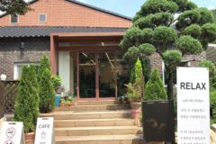 “서울 강북구에 이런 힐링 장소가?”… 도심 속 숨은 1만 평 자연 카페 명소