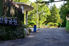 부산 반송공원 여름 축제, 가족 물놀이 명소 추천