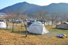 “별들이 쏟아지는 밤하늘이라니?”… 고창 자연 속 531번지 캠핑 명소