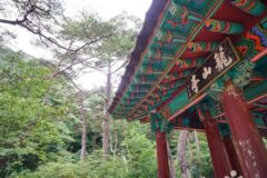 전남 농산정 체험, 물놀이와 자연 속에서 즐기는 여름휴가