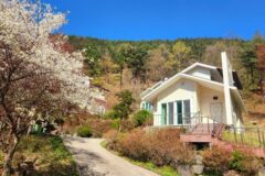 충북 국립속리산말티재자연휴양림 카페, 자연과 여유의 만남
