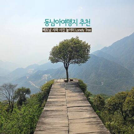 동남아여행지 추천 베트남 사파 사진 놀이터 론리트리(Lonely Tree)