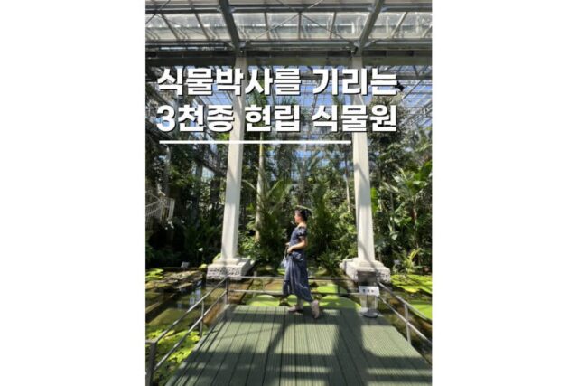 일본 소도시 여행지 고치현립 마키노식물원 JR패스로 시고쿠관광