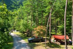 경북 산내들 관광농원 축제, 자연 속 여름 체험의 장