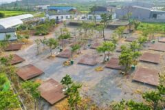 “일출로(288) 이렇게 멋진 풍경이라니!”… 동해 맞닿은 1만 평 캠핑 여행지