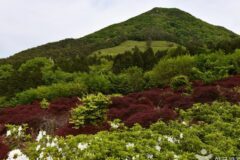 광주 만연산, 경남 여름휴가 가족 여행지로 추천