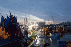포항 동물원 추천 명소 5곳 — 2026 여행 가이드