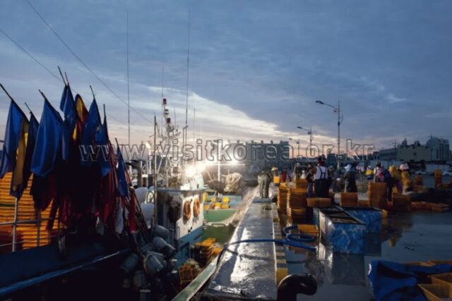 포항 동물원 추천 명소 5곳 — 2026 여행 가이드