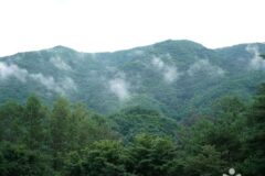 강원 선달산(영월) 숙소, 여름휴가 맞춤 자연 속 쉼터