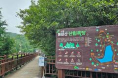 경남 미평 봉화산 산림욕장, 광주에서 즐기는 자연 힐링