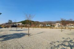 “숲 속에서 수백 개의 별을 보다니!”… 도시 속 숨겨진 힐링 여행지