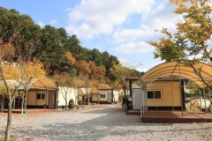 “10헥타르 숲길이 주는 진짜 힐링이에요”… 수도권 최고의 자연 여행지