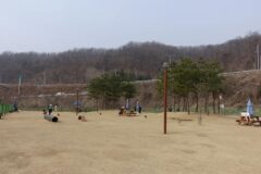 경기 삼막애견공원 체험, 반려견과 특별한 하루 보내기