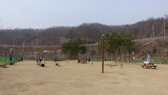 경기 삼막애견공원 체험, 반려견과 특별한 하루 보내기