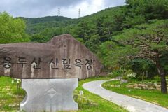 충북 용두산 산림욕장 축제, 제천 여름 휴가 필수 코스