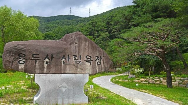 충북 용두산 산림욕장 축제, 제천 여름 휴가 필수 코스