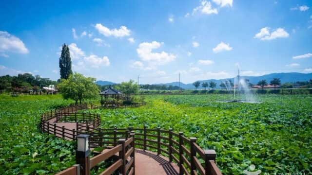 전북 뒷미지수변공원 체험, 여름휴가 물놀이와 산책 명소