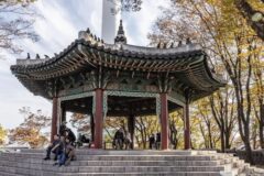 서울 남산 팔각정 축제, 여름 문화와 전통의 만남