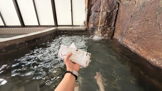 [일본 와카야마 여행] 1,350년 역사의 온천! 시라하마 공중목욕탕 ‘무로노유(牟婁の湯)’ 솔직 방문기
