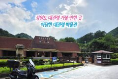 강원도 대관령 가볼 만한 곳 | 아담한 대관령 박물관