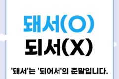 요즘 자주 보이는 잘못된 맞춤법
