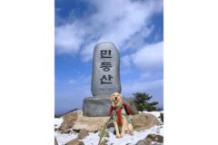 울강쥐 등산천재야 (+ 산 추가!)