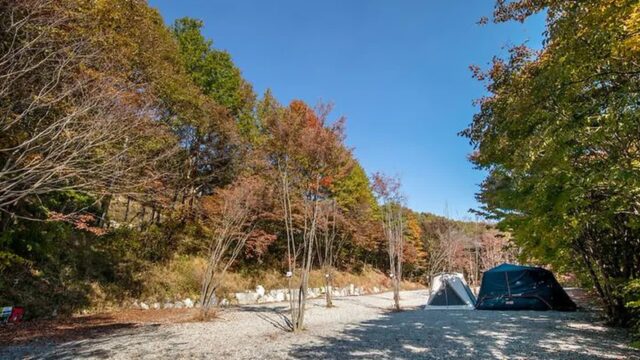 경기 깊이울 달빛 캠핑장 축제, 자연 속 여름 휴양지