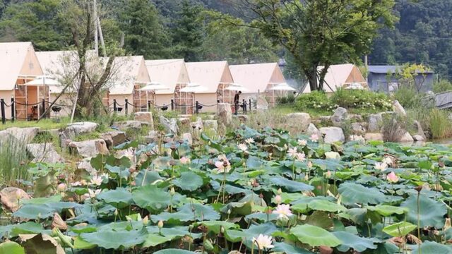 “진짜 이런 캠핑장이 있다고?”… 2,000평 자연 속 럭셔리 명소