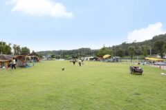 충남 피플앤독 힐링캠핑장, 반려견과 함께하는 예산 캠핑